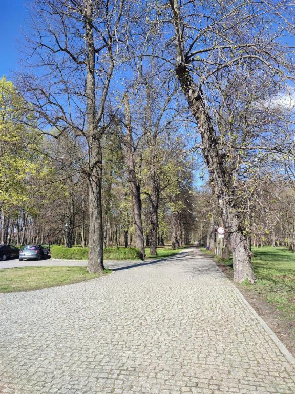 Apartament 4 You - 10