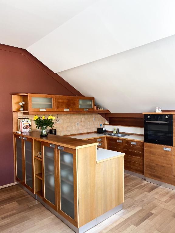 Kuchyň nebo kuchyňský kout v ubytování Fado Apartments Lendava