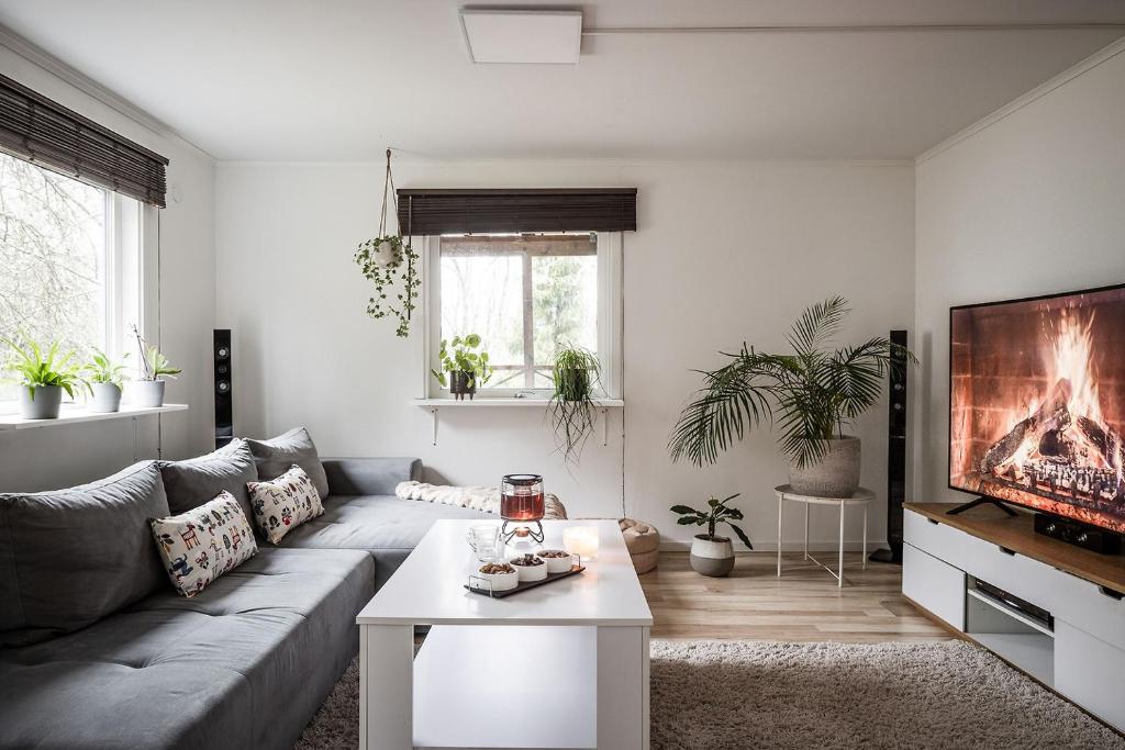 a living room with a couch and a tv at the Little Oasis In Gothenburg in Gothenburg