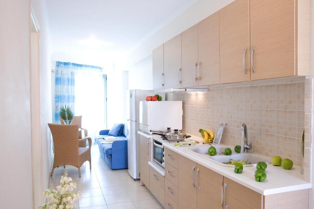 Kuchyň nebo kuchyňský kout v ubytování Anemolia Apartments