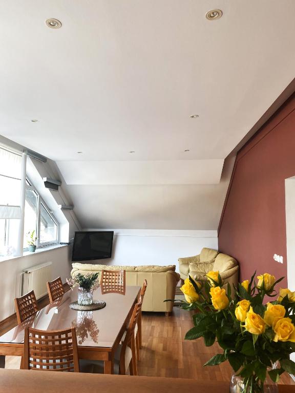 TV a/nebo společenská místnost v ubytování Fado Apartments Lendava