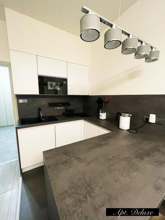 Apartments in the heart of Prague - 豪华公寓