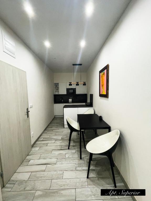 Apartments in the heart of Prague - 上级公寓