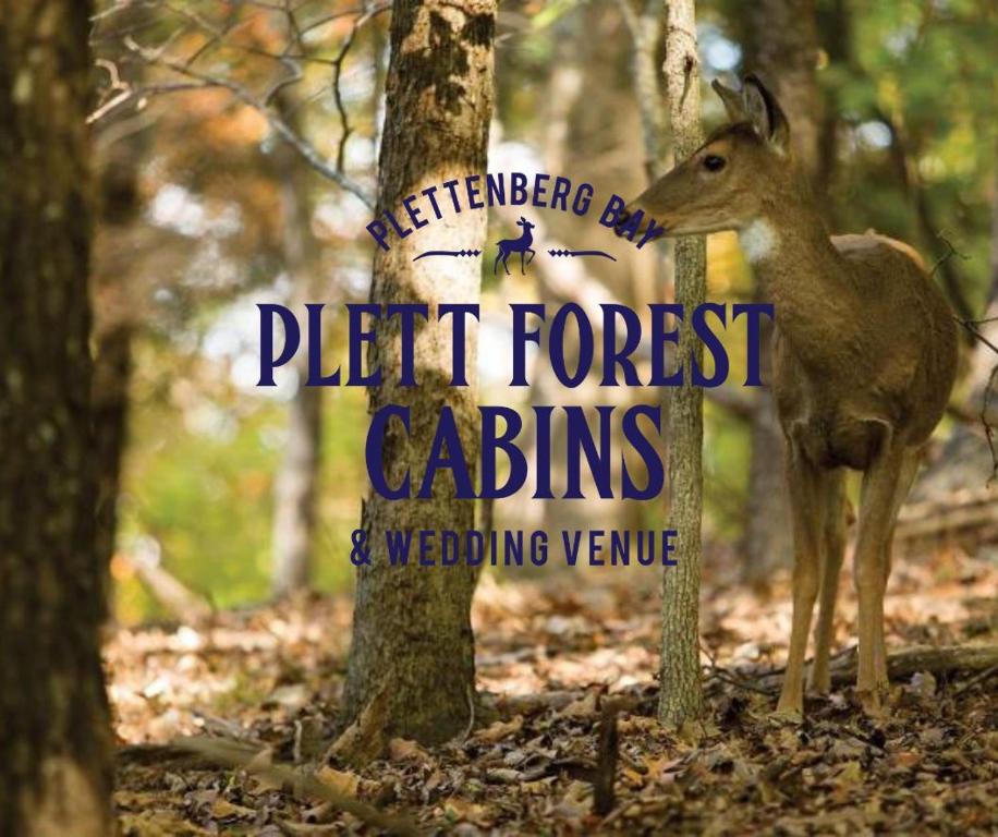 un cerf debout à côté d'un panneau dans les bois dans l'établissement Plett Forest Cabins, à Plettenberg Bay