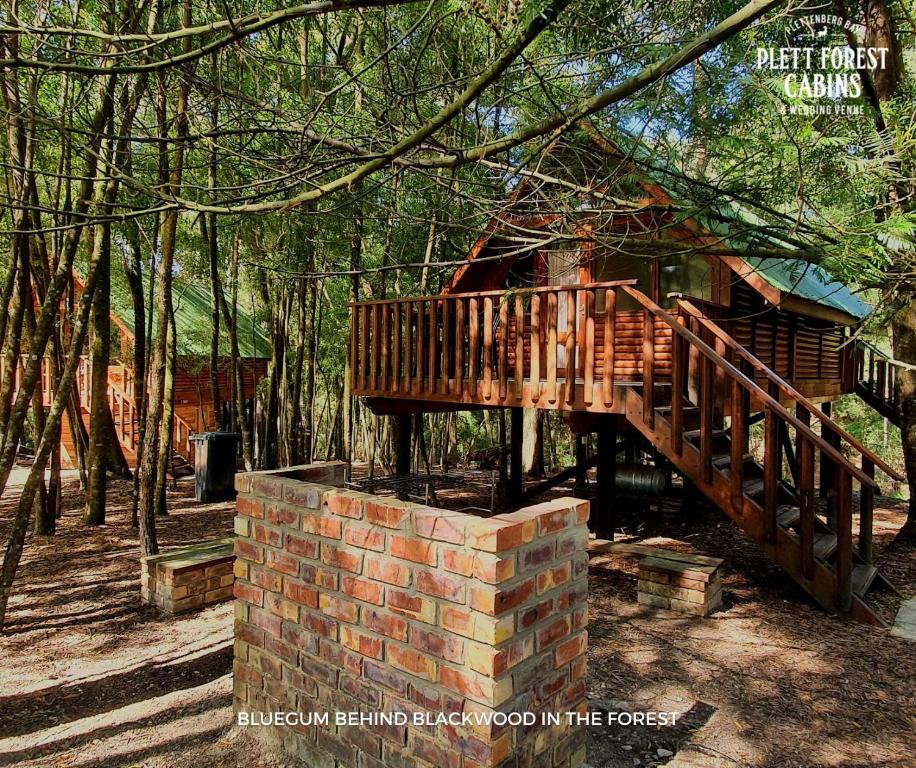 a wooden bridge over a brick wall next to a cabin at Plett Forest Cabins in Plettenberg Bay