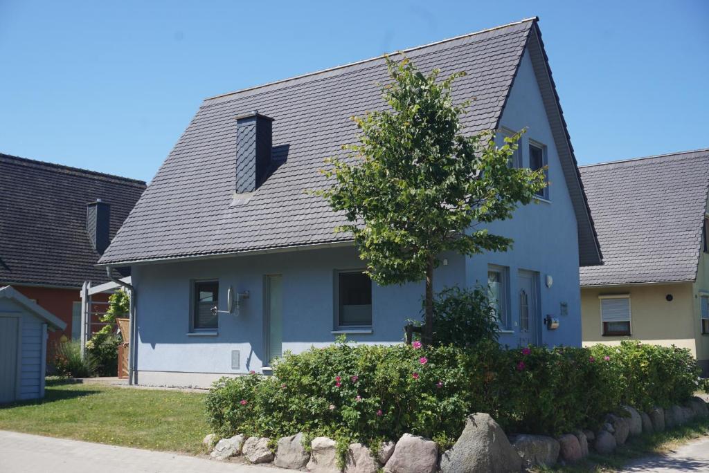 a blue house with a gray roof at Haus TimpeTe am Breetzer Bodden in Vieregge