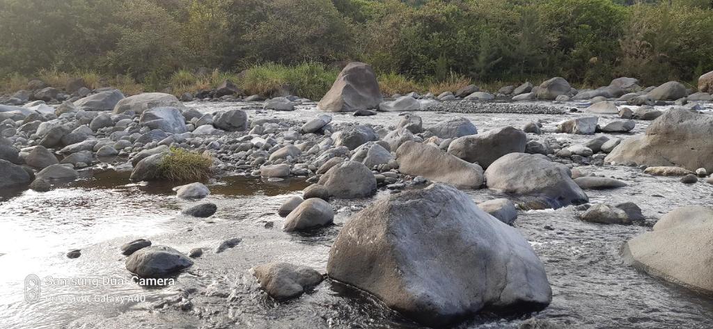 Příroda nedaleko prázdninového domu