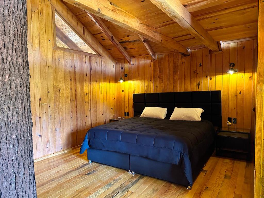 PINE TREE Mazamitla Hotel Boutique & Cabañas - Junior Suite