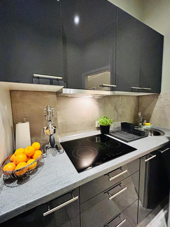 Kuchyň nebo kuchyňský kout v ubytování Blue City Apartment’s