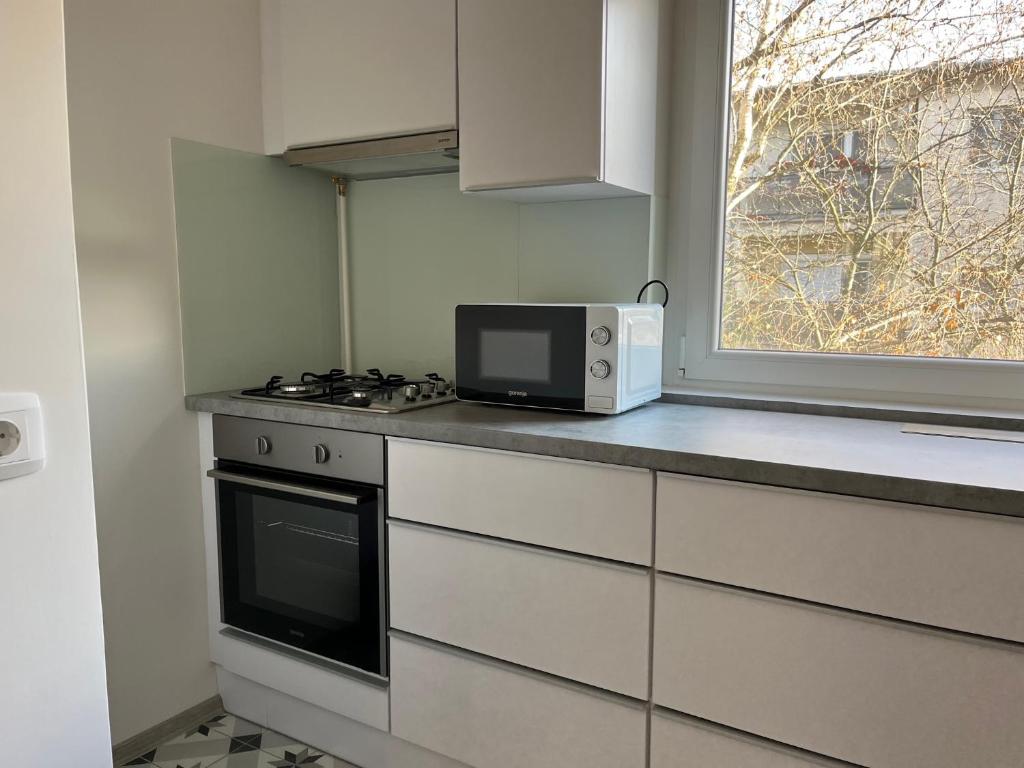 Kuchyň nebo kuchyňský kout v ubytování Móriczka Apartman