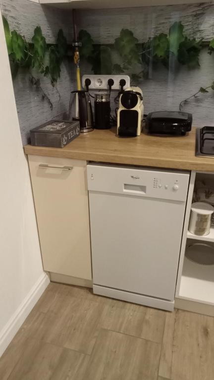 Kuchyň nebo kuchyňský kout v ubytování Bíbic Apartman A