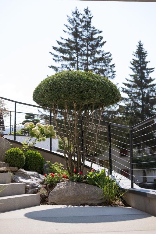 Zahrada ubytování Hotel Salten