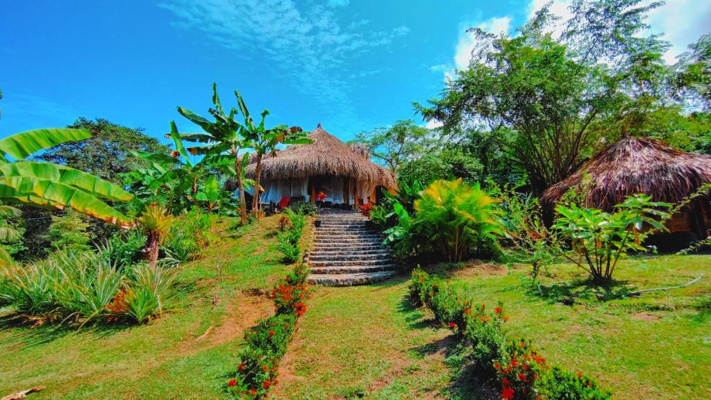 ein Resort mit einer Treppe, die zu einem Haus führt in der Unterkunft Magic Green Dentro del Parque Tayrona in El Zaino