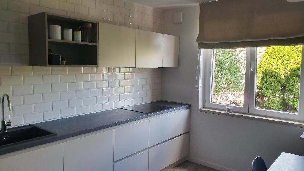 Kuhinja oz. manjša kuhinja v nastanitvi Apartma Vič Ljubljana