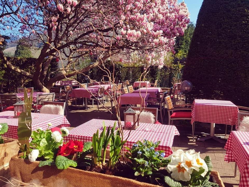 Hotel Restaurant Aux Sapins – photo 14