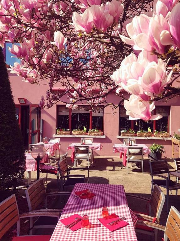 Hotel Restaurant Aux Sapins – photo 15