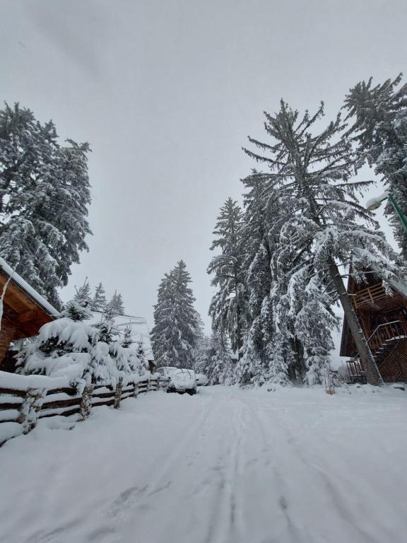 a snow covered road with trees and a fence at Vikendica A Vlasic in Vlasic