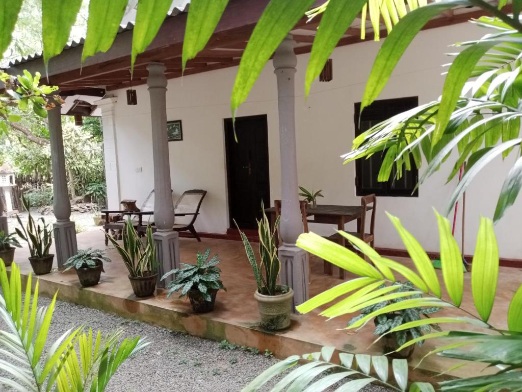 a porch of a house with plants at Rock house in Hiriketiya