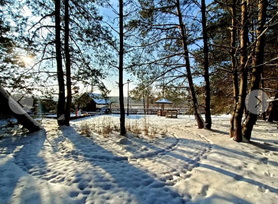 einen schneebedeckten Park mit Bäumen und einer Bank in der Unterkunft .... chillout między Łodzią a Warszawą in Nieborów