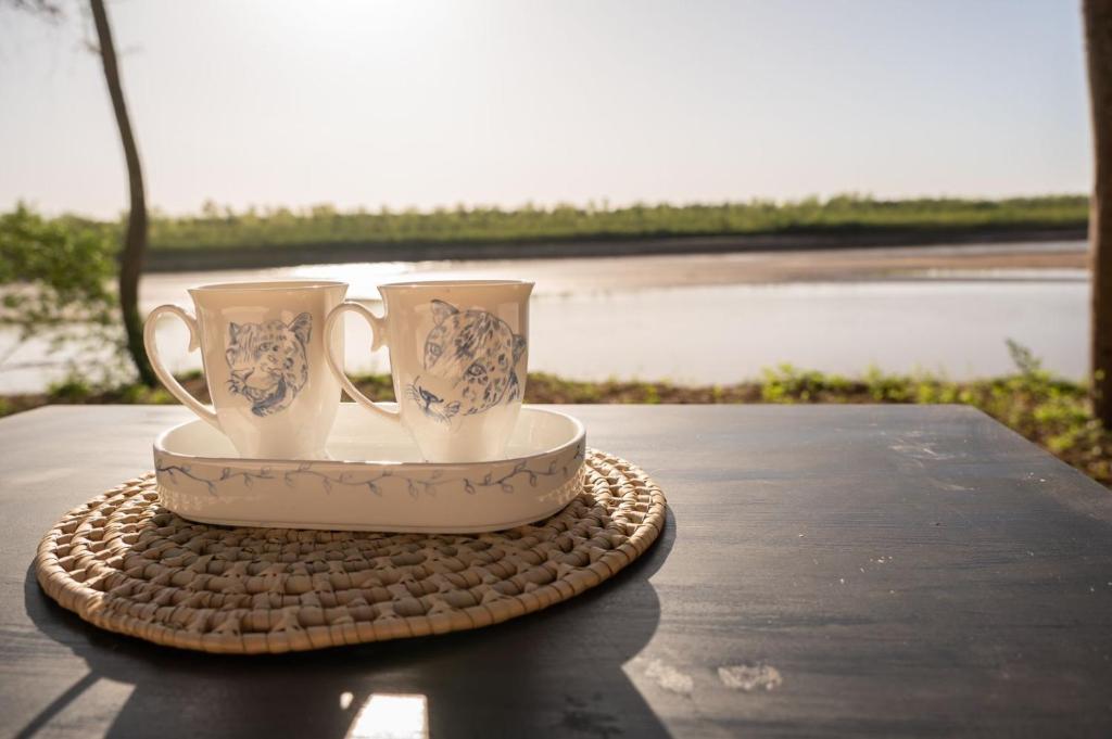 Glamping Los Palmares