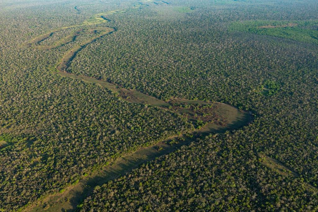 Glamping Los Palmares