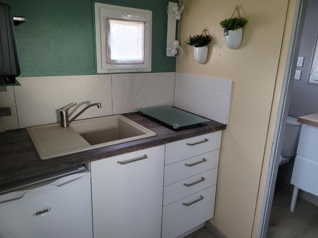 a small kitchen with white cabinets and a sink at La paillote idyllique in Faverolles-sur-Cher