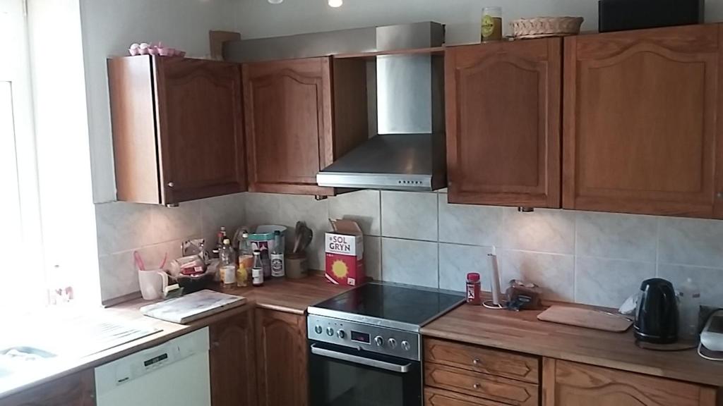 Kuchyň nebo kuchyňský kout v ubytování Rundvejen Guest House