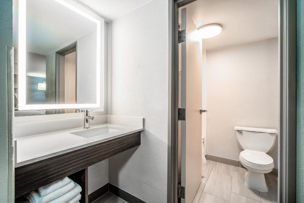 Koupelna v ubytování Holiday Inn Express & Suites Phoenix - Mesa West by IHG