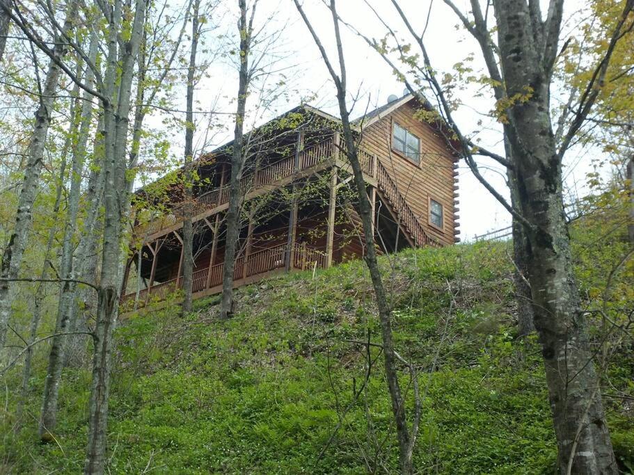 ein Holzhaus auf einem Hügel im Wald in der Unterkunft Glens of Antrim Mountain Cabin in Waynesville