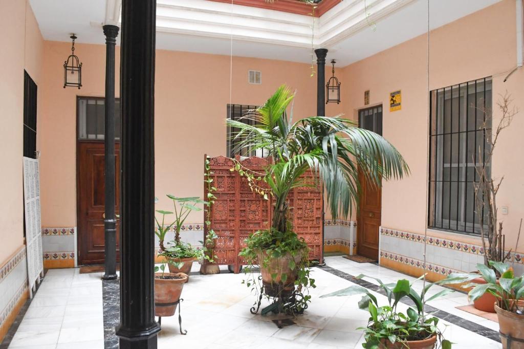 Apartamento Descalzos