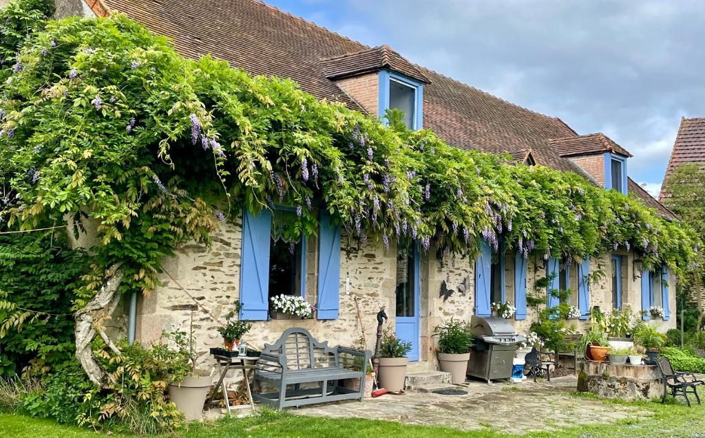 Malleret-Boussac的住宿－Domaine Le Rianon，有一束植物生长在房子上
