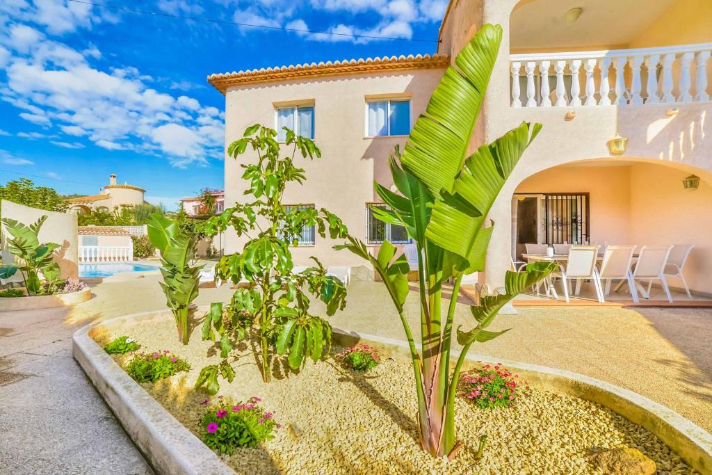 Zahrada ubytování Villa Sasha