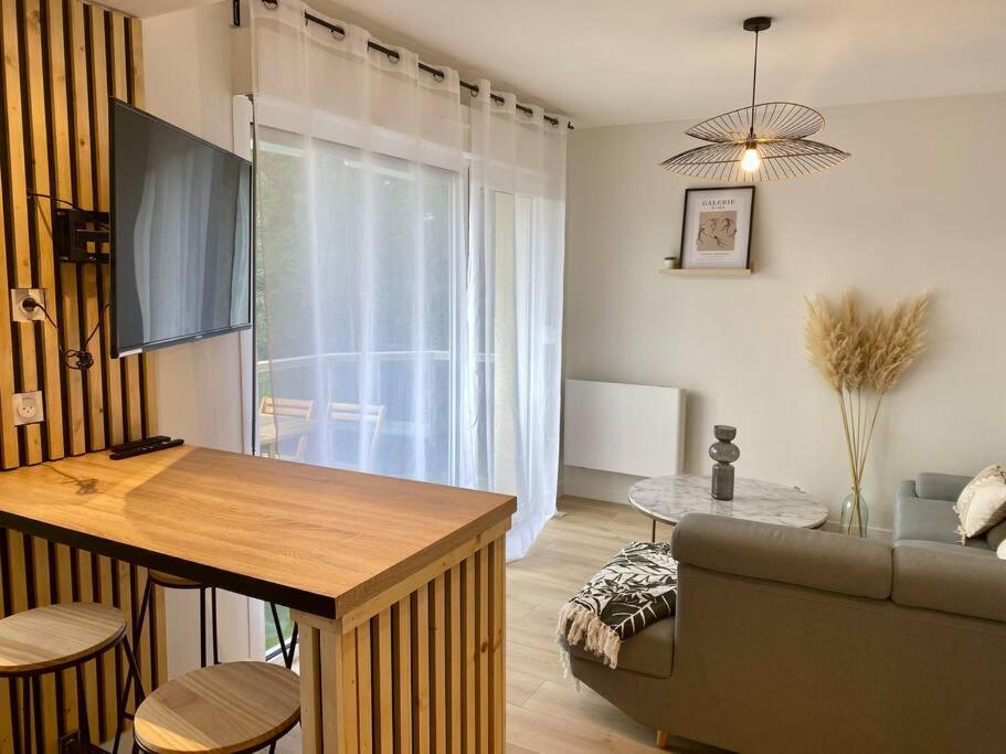 Televízia a/alebo spoločenská miestnosť v ubytovaní L'alcôve - T2 Calme, Terrasse & Parking privé