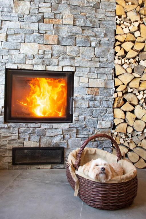 Fotografie z fotogalerie ubytování Alpine Cottage Golica v destinaci Jesenice