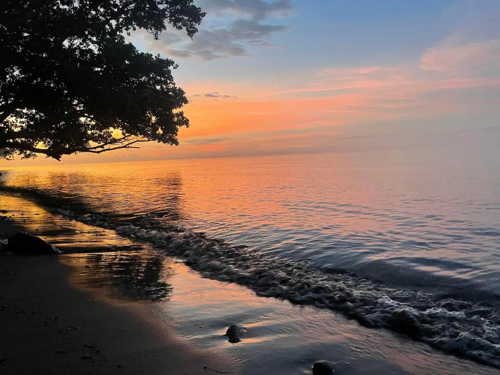 - une plage avec un arbre et l'océan au coucher du soleil dans l'établissement Borbon's Treehouse By the Sea, à Mambajao