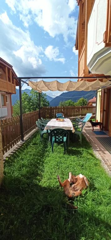 Fotografie z fotogalerie ubytování le balze di Carisolo, trilocale con giardino v destinaci Carisolo