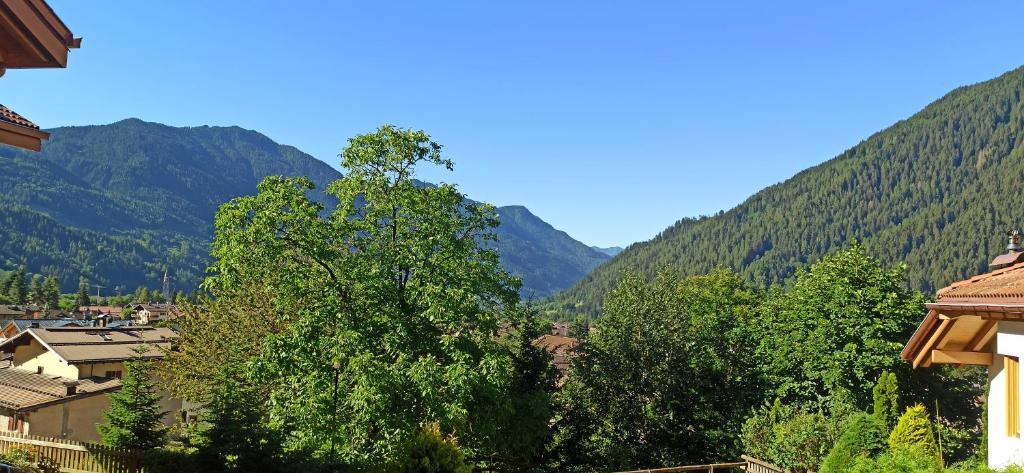 Příroda nedaleko apartmánu