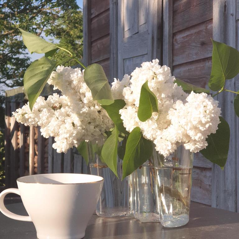 Fotografie z fotogalerie ubytování Ronehamn Bed and Breakfast v destinaci Hemse