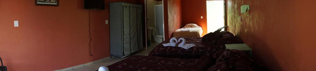 Fotografie z fotogalerie ubytování Velaria v destinaci Chachalacas
