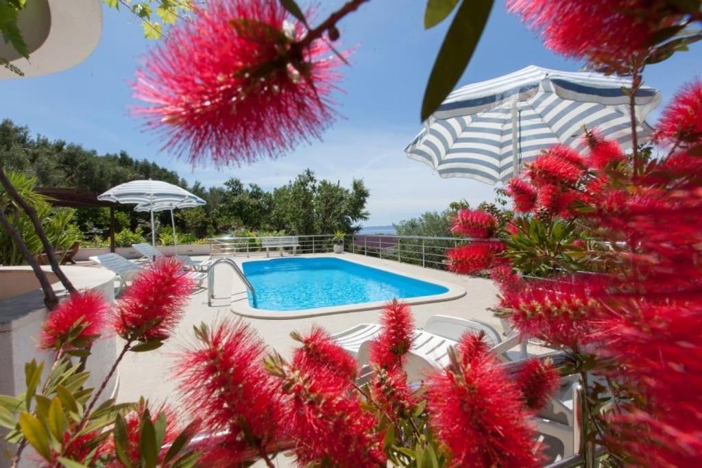 Fotografia z galérie ubytovania Family friendly house with a swimming pool Makarska - 19796 v destinácii Makarska