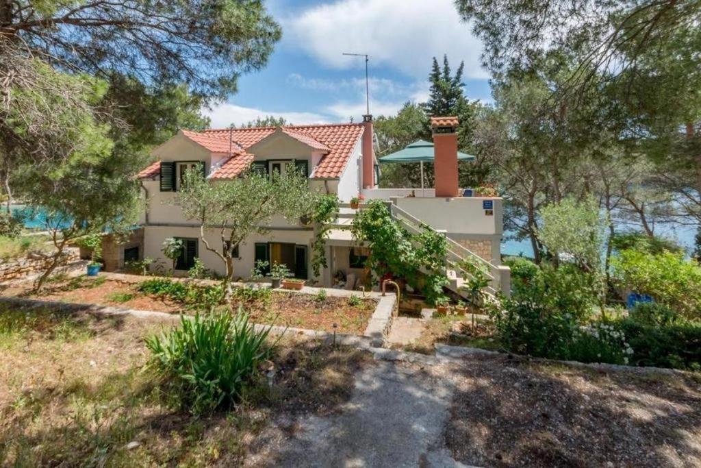 ミルナにあるApartments by the sea Cove Osibova, Brac - 20093の木立の丘の脇の家