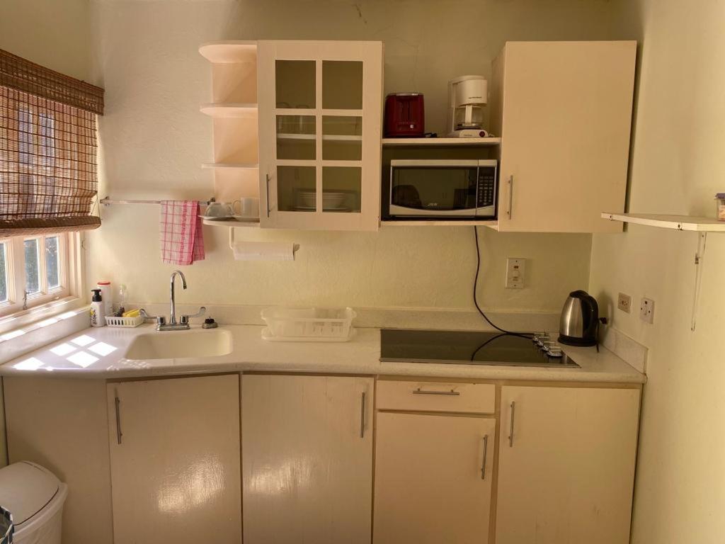 1 bedroom Penthouse Suite 63 at Mystic Ridge Resort - One-Bedroom Apartment