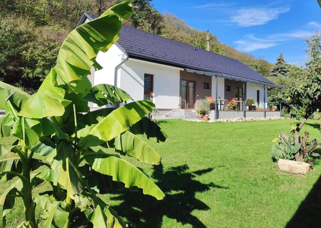 una casa con un plátano delante de ella en Katáng Vendégház, en Tardosbánya
