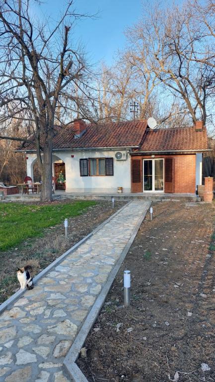 un chat assis devant une maison dans l'établissement Vikendica Zajecar, 