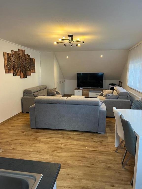a large living room with a couch and a tv at Ferienwohnung Alpina in Feldkirch