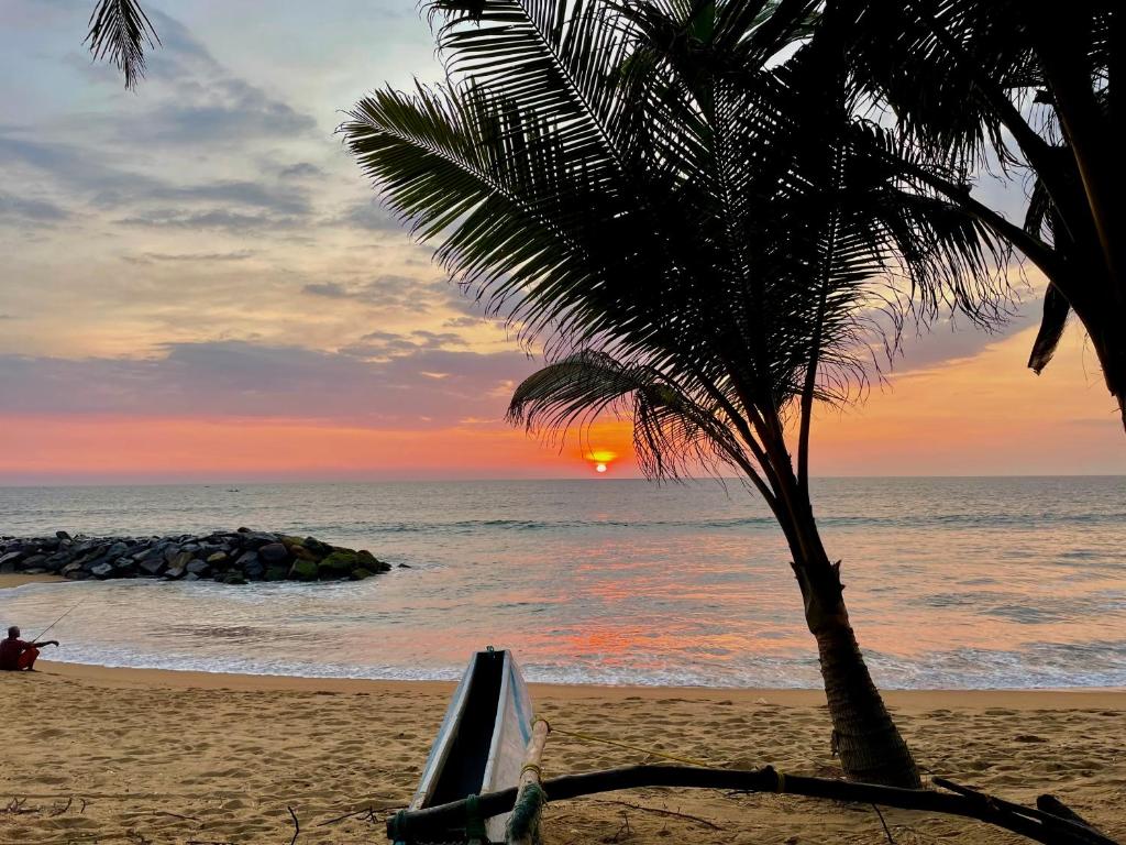 a palm tree on a beach with a sunset at Aprima Hotel in Kalutara