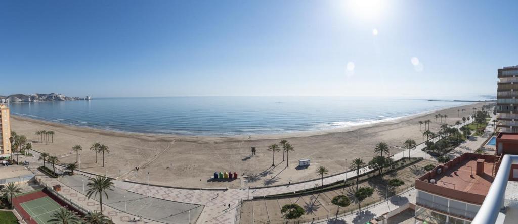 a view of a beach with palm trees and the ocean at LIDER, 12º-A Atico in Cullera