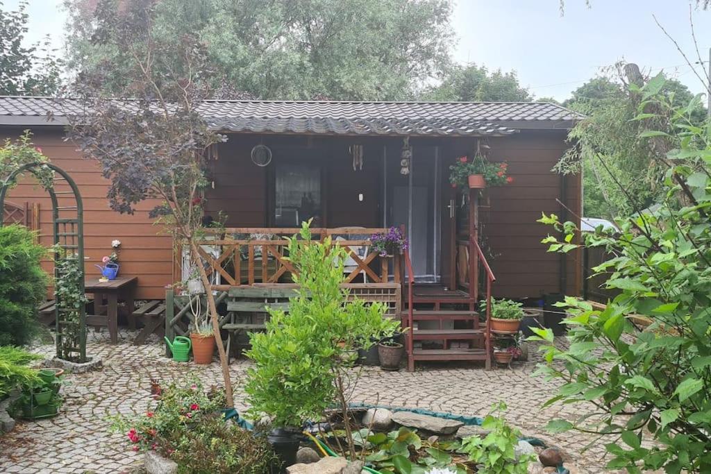 Domek całoroczny z ogródkiem - Housity