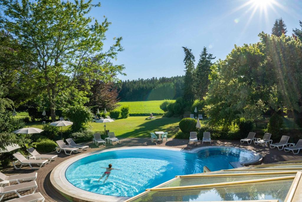 Bazén v ubytování Hotel Marko nebo v jeho okolí