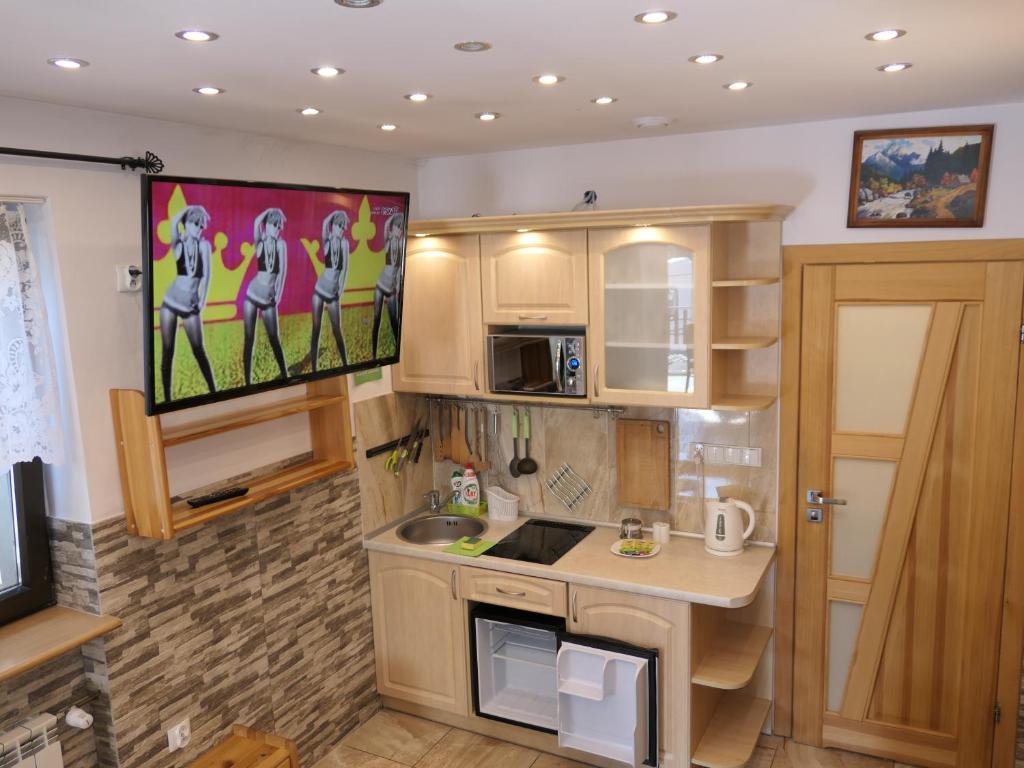 a small kitchen with a tv on the wall at Apartamenty u Łukasza in Zakopane
